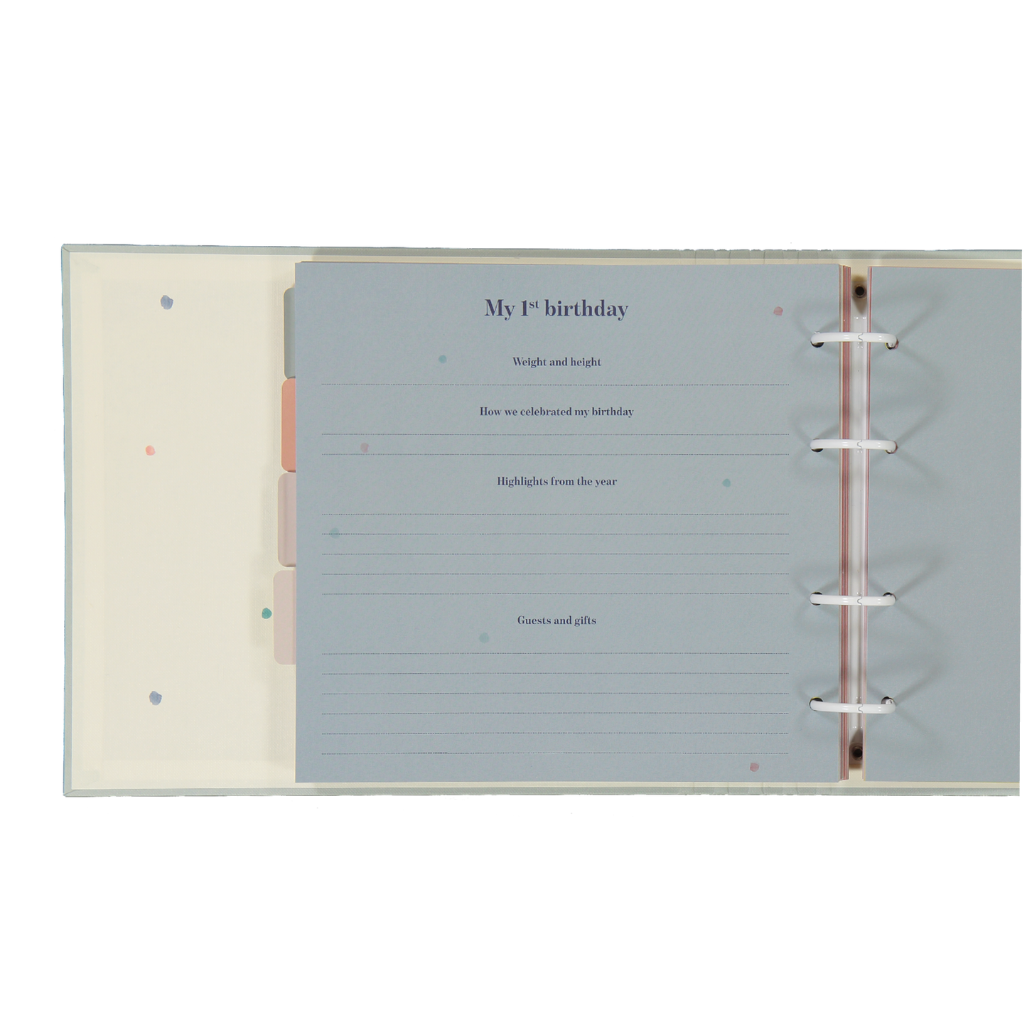 baby journal for the rainbow family