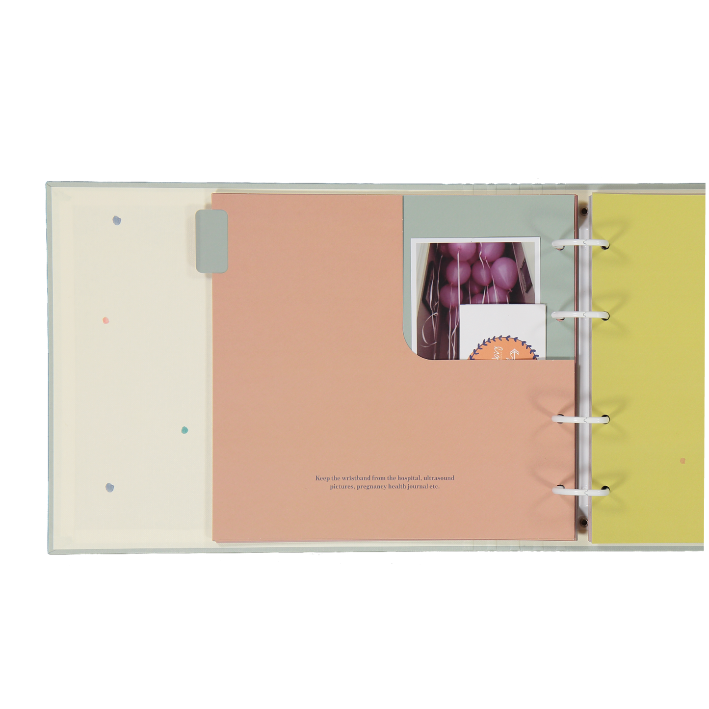 baby journal for the rainbow family