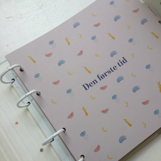 kapitler til mine første år album