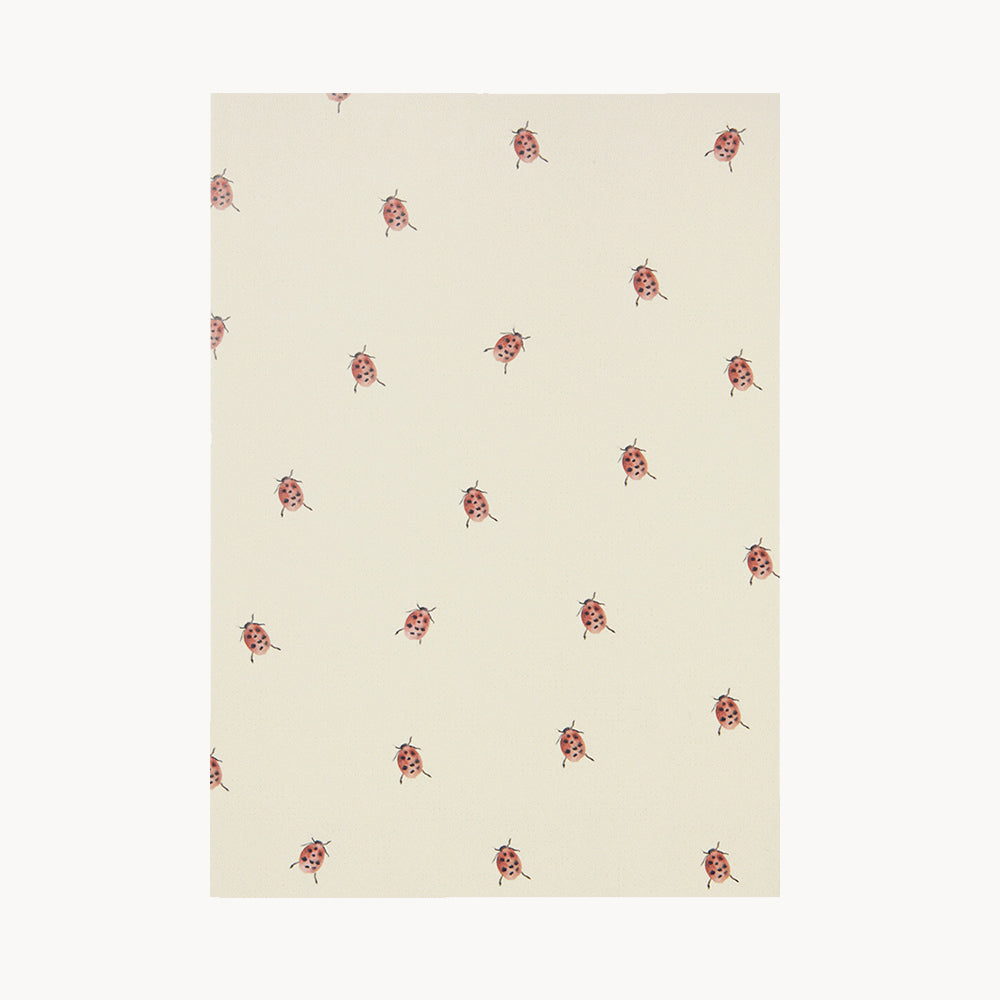 mine første år album, aftryk & kort