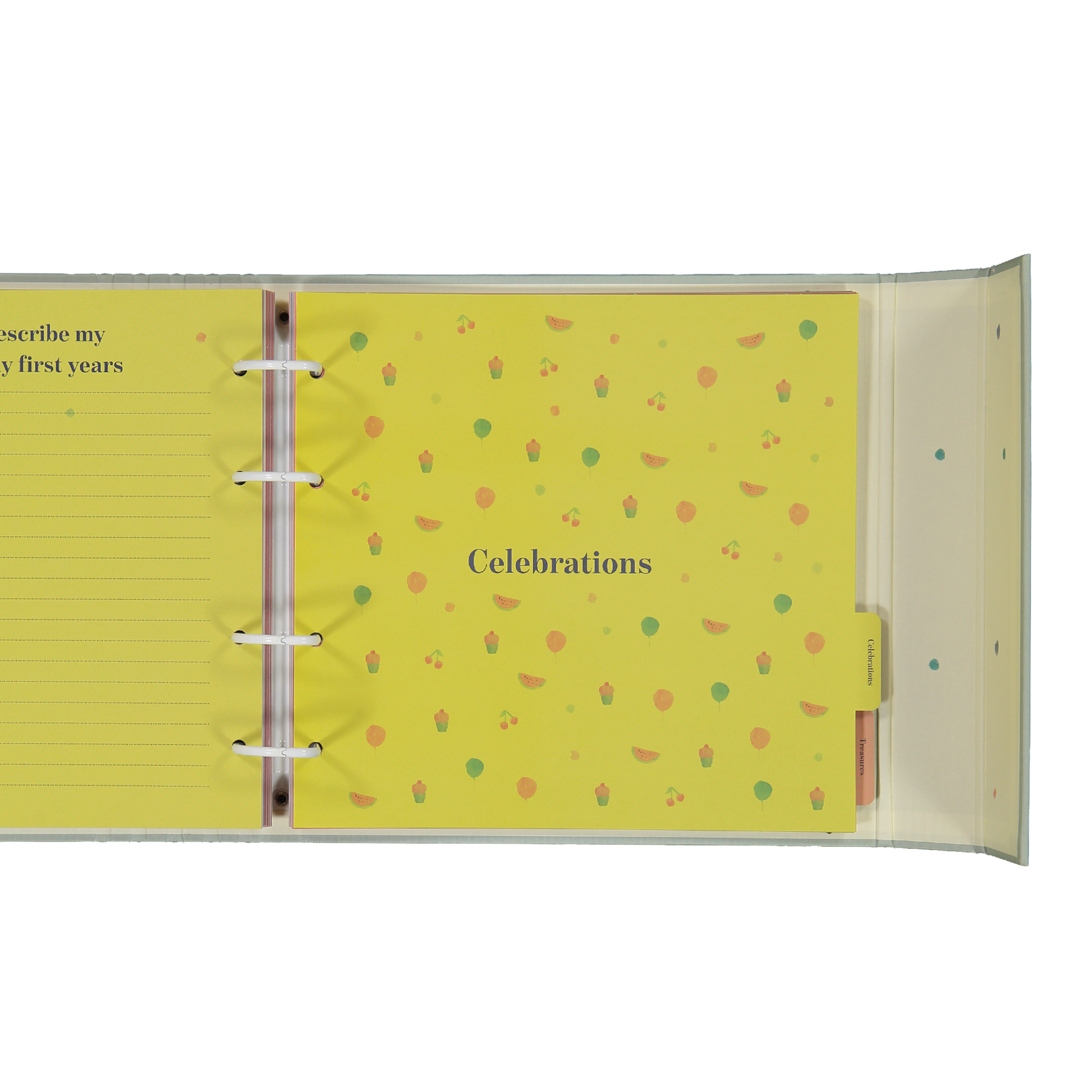 baby journal for the rainbow family