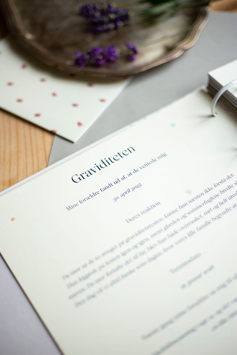 udfyld online – kapitel – indledning