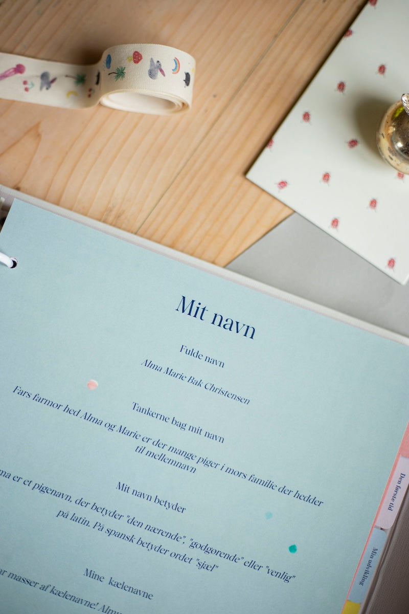 udfyld online – kapitel – indledning